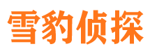 临江寻人公司